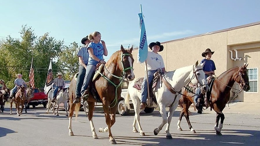 horses
